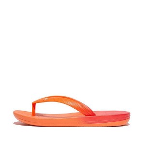 Kids' FitFlop Iqushion Junior Ombre Ergonomic Flip Flops Red / Coral | 634IQFWAV