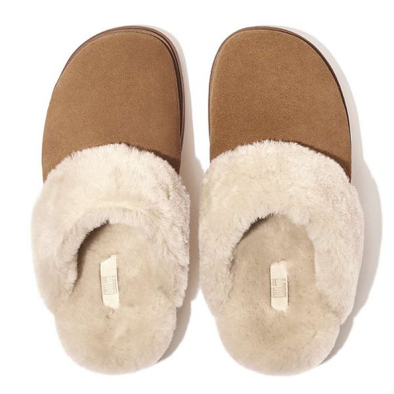 Women's FitFlop Gen-Ff Shearling Collar Suede Slippers Brown | 204NDWLVY